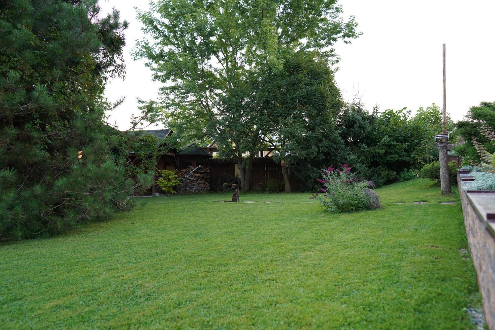 Apartmany U Denyho Zuberec Extérieur photo