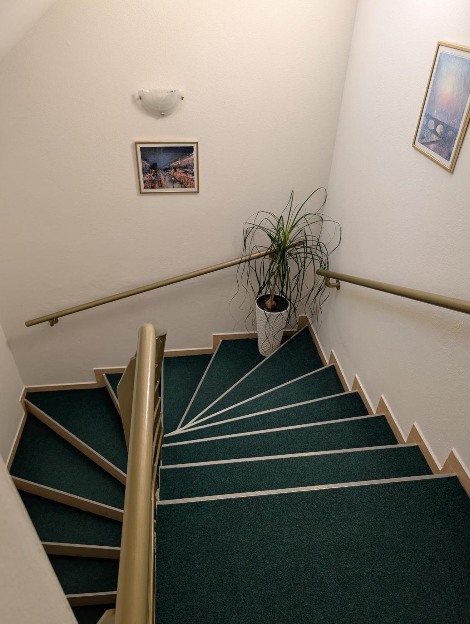 Apartmany U Denyho Zuberec Extérieur photo